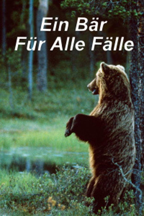 Ein Bär für alle Fälle Poster