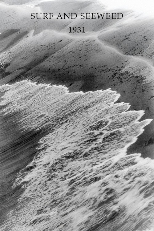 Surf and Seaweed Poster