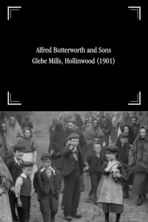 Alfred Butterworth and Sons, Glebe Mills, Hollinwood Poster