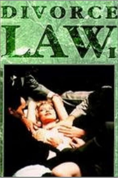 Divorce Law Poster