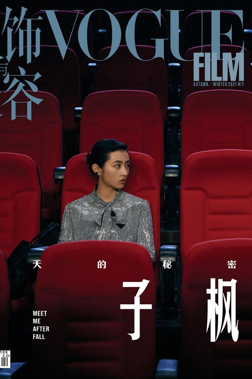 Meet Me After Fall Poster