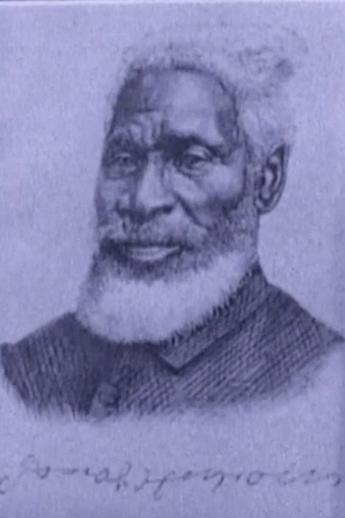 Journey to Justice Poster