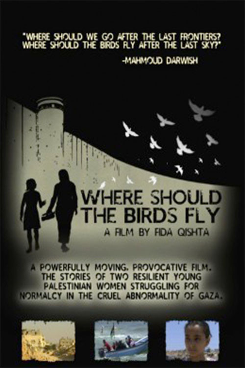 Where Should the Birds Fly? Poster