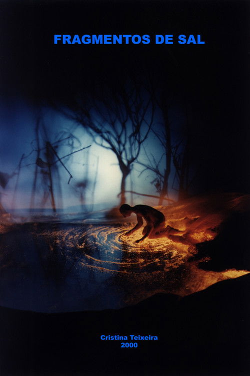 Fragmentos de Sal Poster