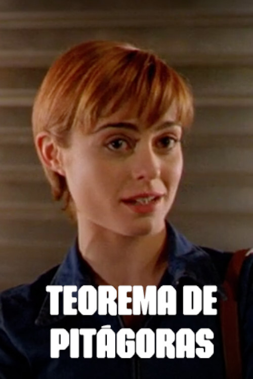 Teorema de Pitágoras Poster