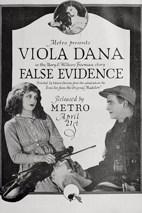 False Evidence Poster