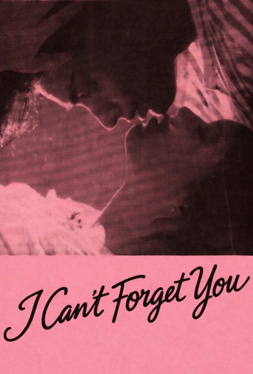 I Can't Forget You Poster