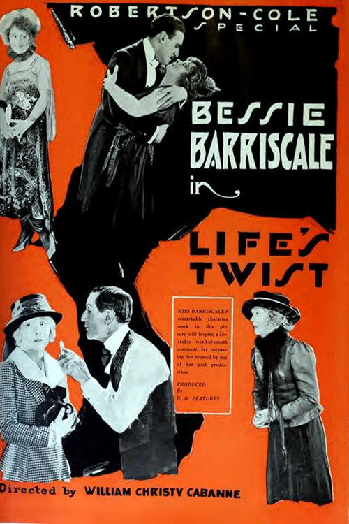 Life's Twist Poster