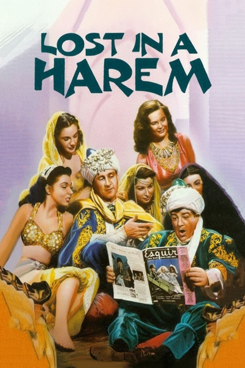 Lost in a Harem Poster