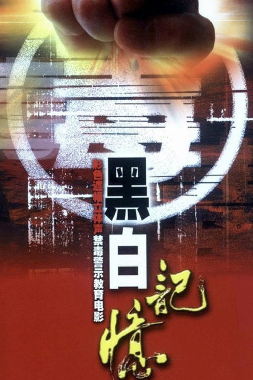 Black-and-White Memories Poster