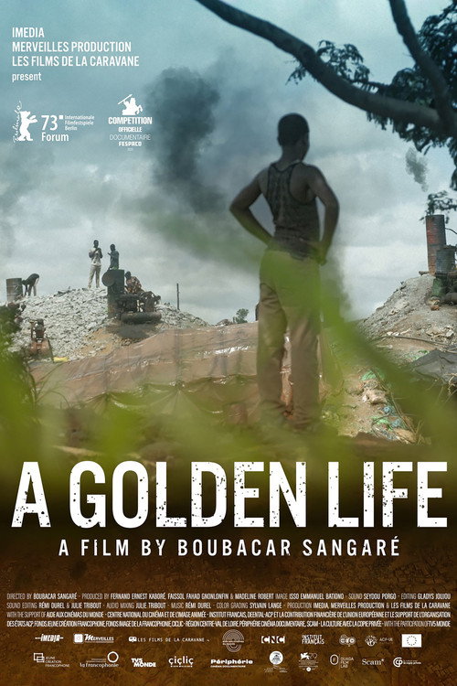 A Golden Life Poster