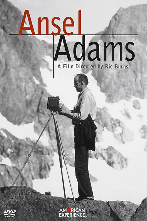 Ansel Adams Poster