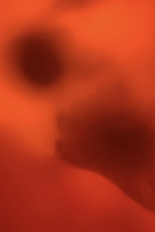 Love is Tinged with Red Poster