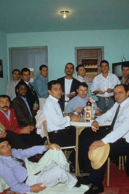 Os Raimundos, os Severinos e os Franciscos Poster