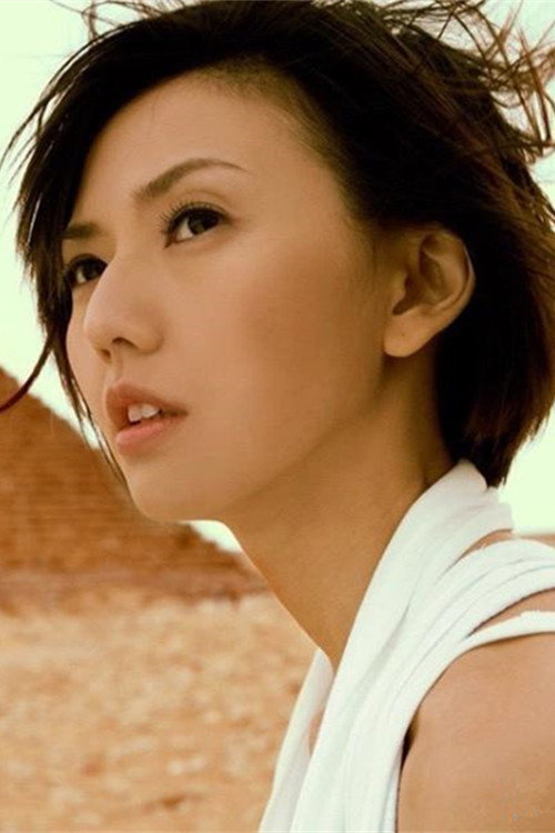 孙燕姿「逆光」庆功演唱会 Poster