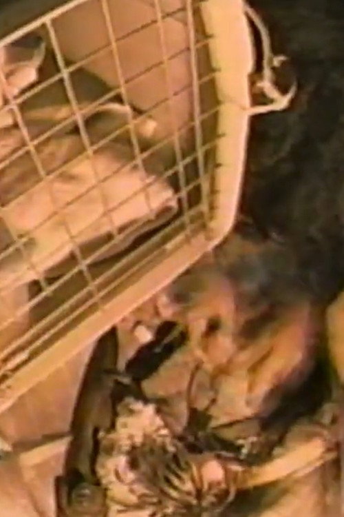 Mr. Withers' Apartment Poster