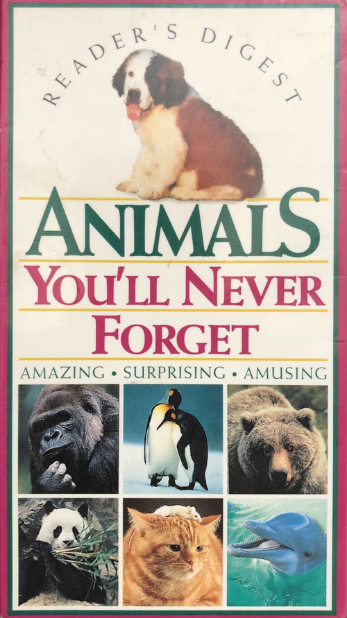Animals You'll Never Forget Poster