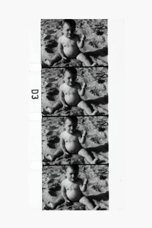 Fluxfilm No. 21 Poster