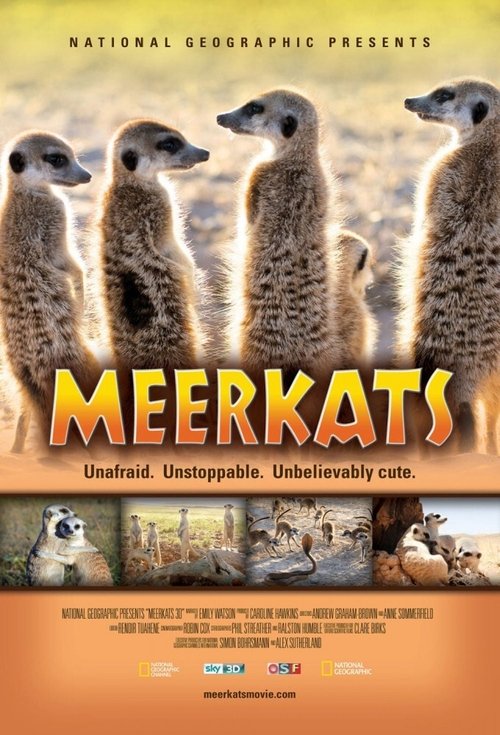 Meerkats 3D Poster