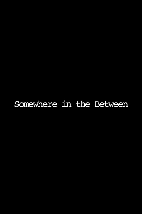 Somewhere in the Between Poster
