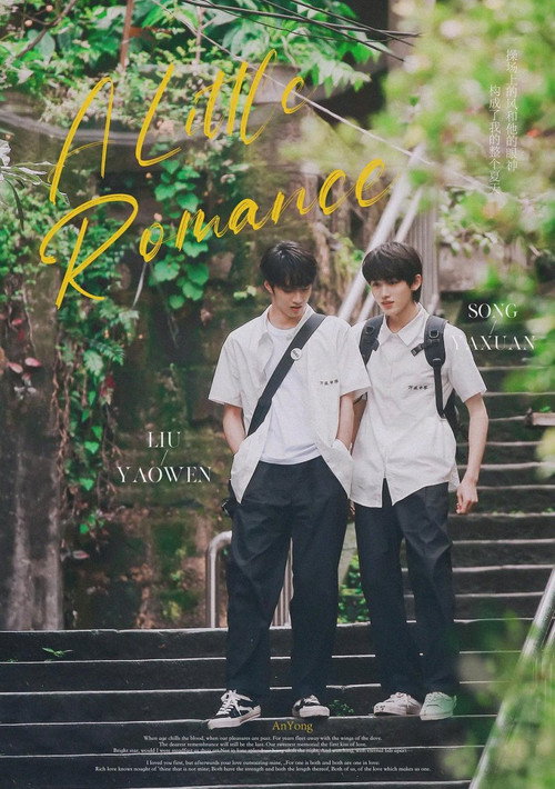 Let's Wait for the Rain to Stop Poster