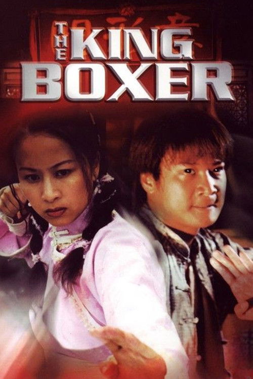 The King Boxer Poster