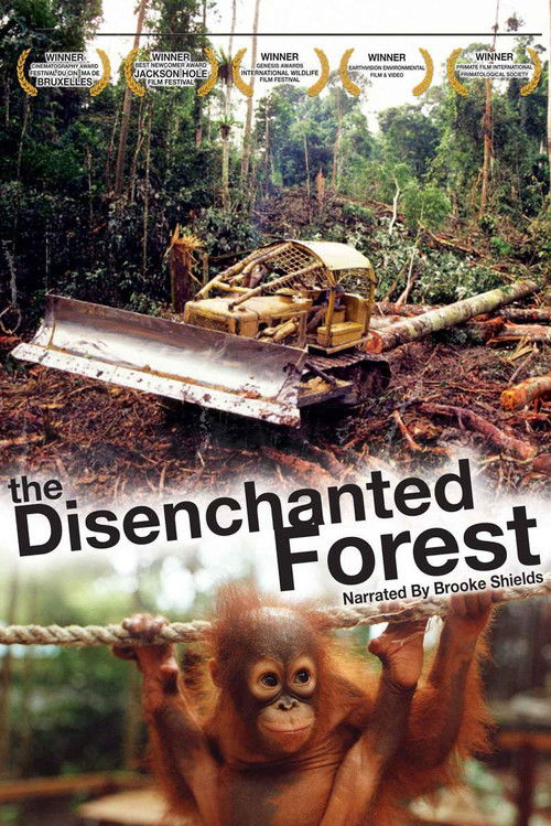 Disenchanted Forest Poster