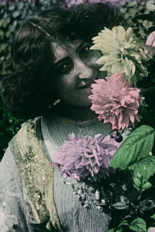 Culture of the Dahlia Poster