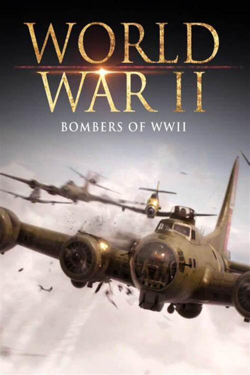 World War II: Bombers of WWII Poster