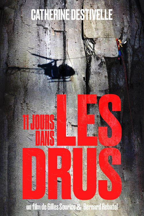 11 Days in the Drus Poster