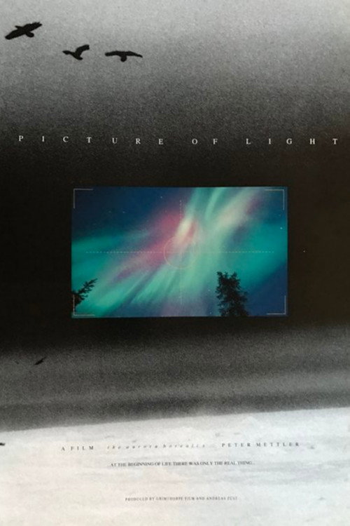 Picture of Light Poster