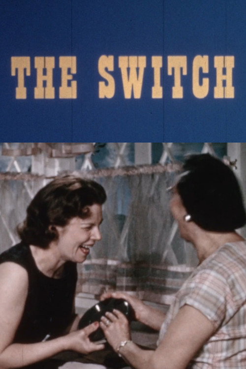 The Switch Poster