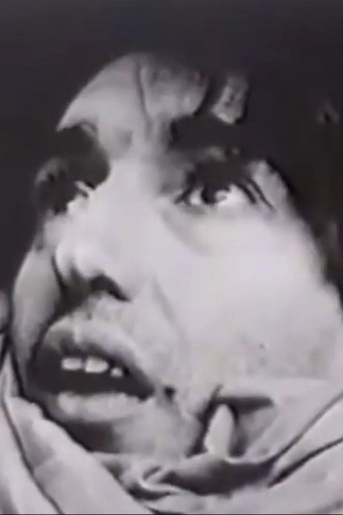 Daedalus, Icarus and Me Poster