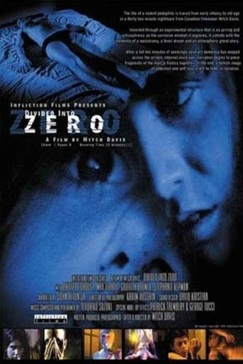 Divided Into Zero Poster