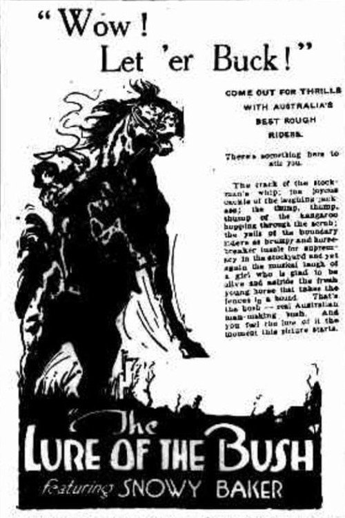 The Lure of the Bush Poster