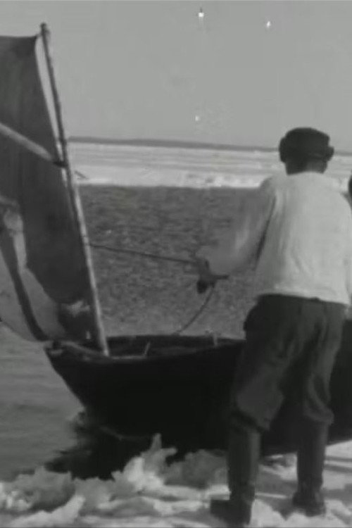 Ülgepüüdäjäd Poster