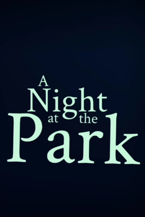A Night at the Park Poster