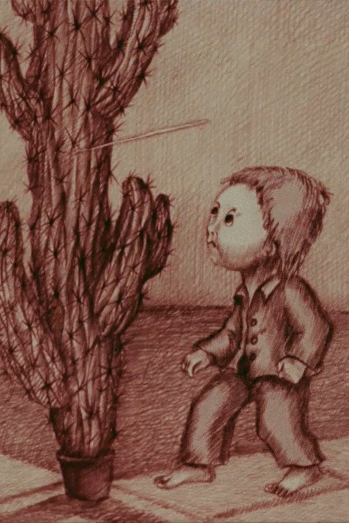 The Mystery of the Cactus Poster