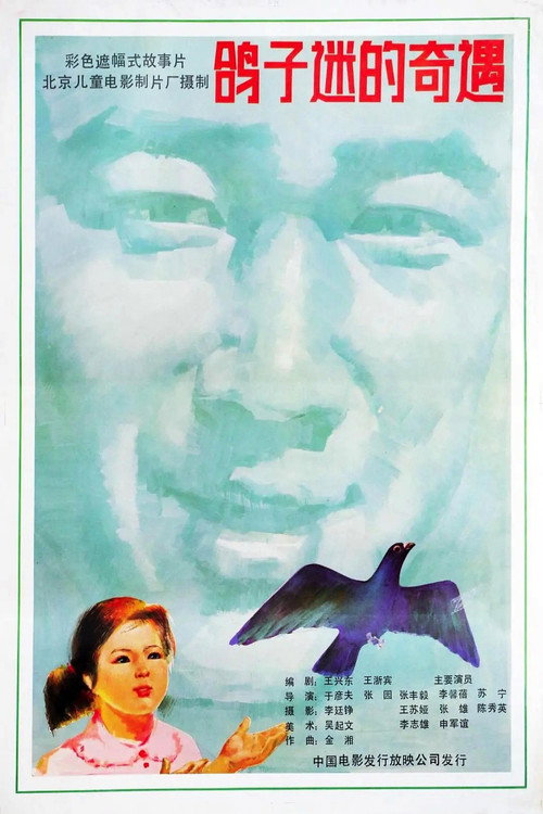 鸽子迷的奇遇 Poster