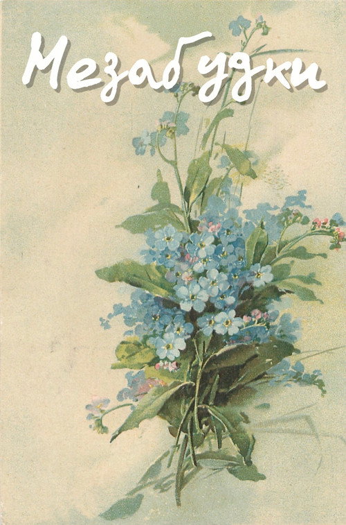 Forget-Me-Nots Poster