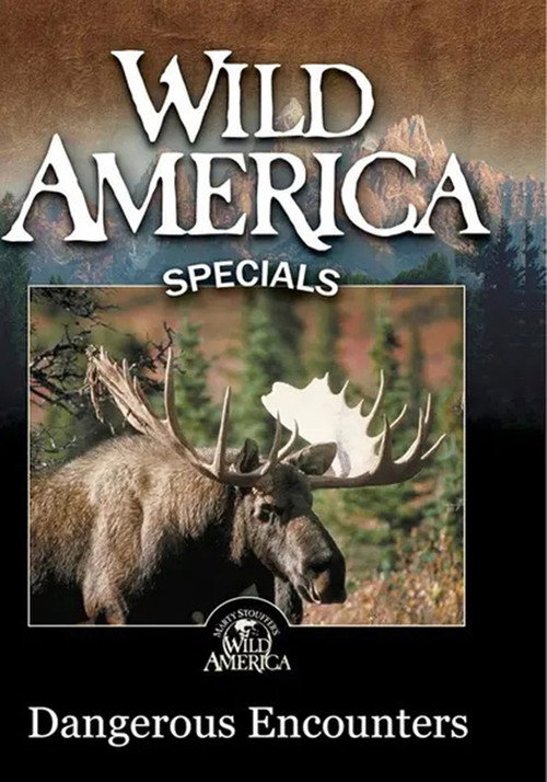 Wild America - Dangerous Encounters Poster