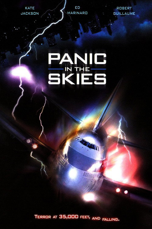 Panic in the Skies! Poster