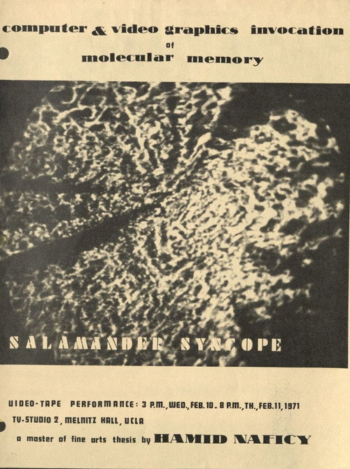 Salamander Syncope Poster