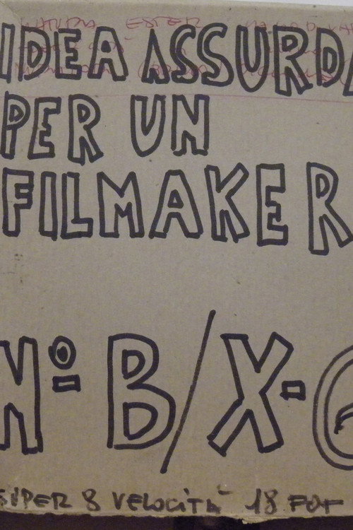 Idea assurda per un filmaker - Ester Poster
