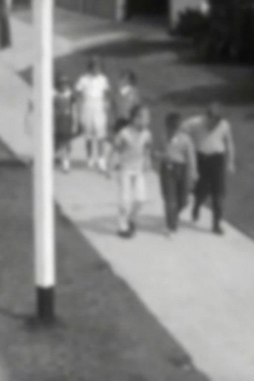 Walking to School Poster
