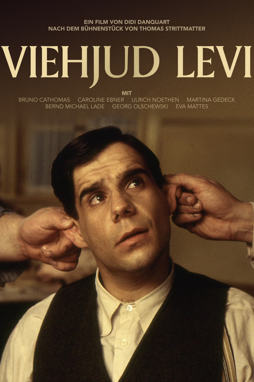 Jew-boy Levi Poster