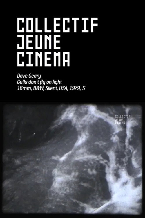 Gulls Don’t Fly On Light Poster