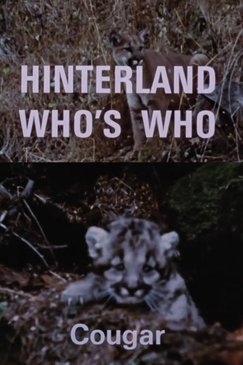 Hinterland Who's Who: Cougar Poster