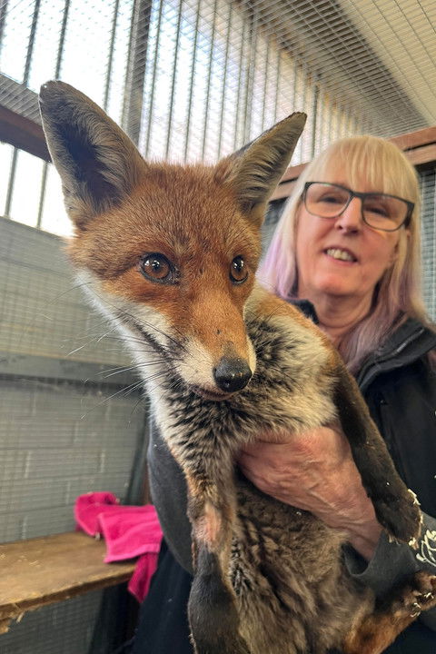 Secrets of the Southwest: Science Behind the Secrets Poster