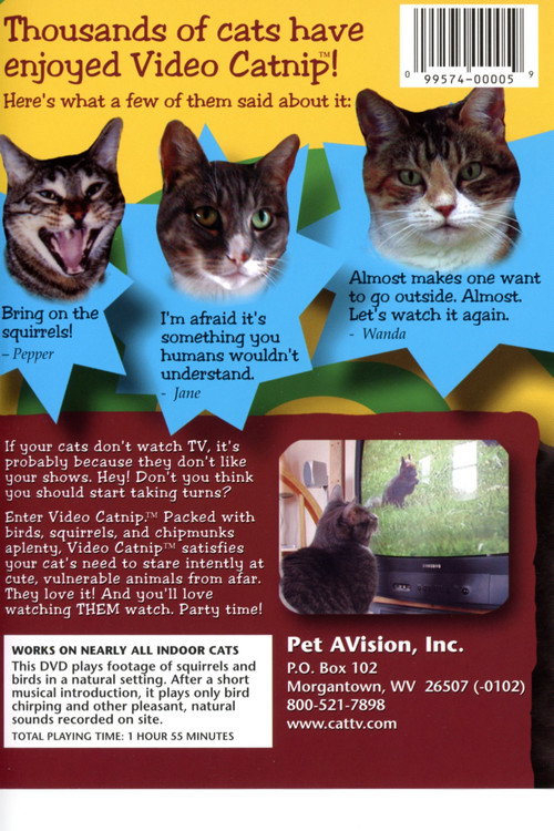 Video Catnip Poster